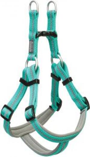 SM HARNESS, MINT