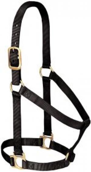 HALTER,BASIC,1",SMALL,BLACK