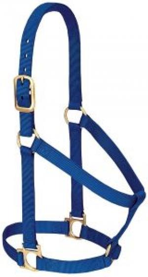 HALTER,BASIC,1",AVERGE,BLUE