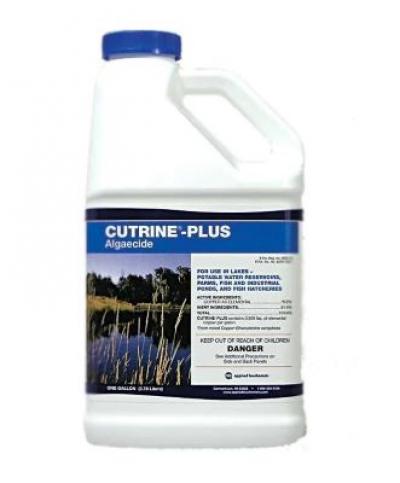 CUTRINE PLUS LIQUID GAL