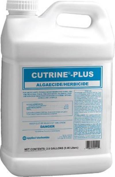 CUTRINE PLUS LIQUID 2-1/2GAL