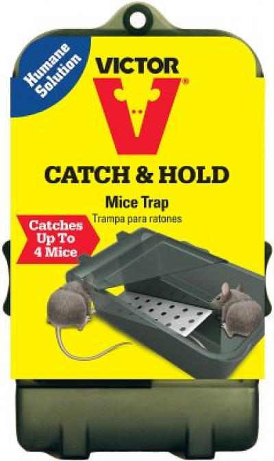 PLASTIC REVERSIBLE MOUSE TRAP