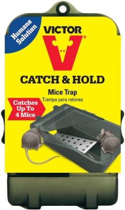 PLASTIC REVERSIBLE MOUSE TRAP