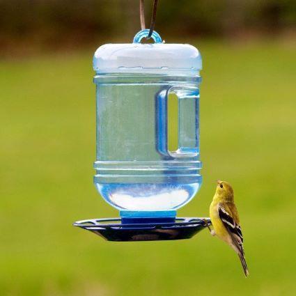 WATER COOLER BIRD WATERER 48OZ