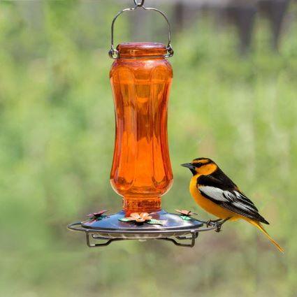 CARNIVAL ORIOLE FEEDER