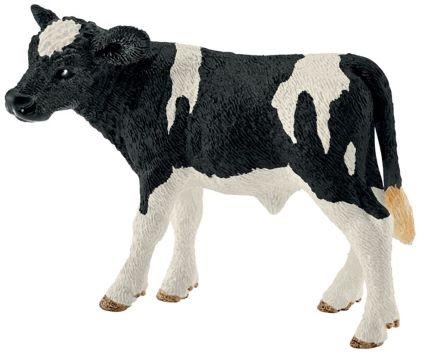 HOLSTEIN CALF