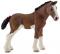 CLYDESDALE FOAL