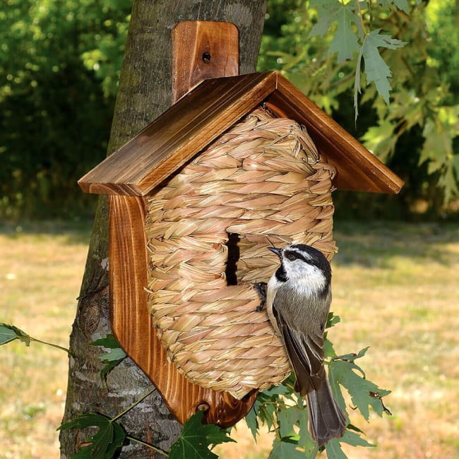 ROOSTING BOXES