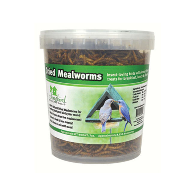 MEALWORMS