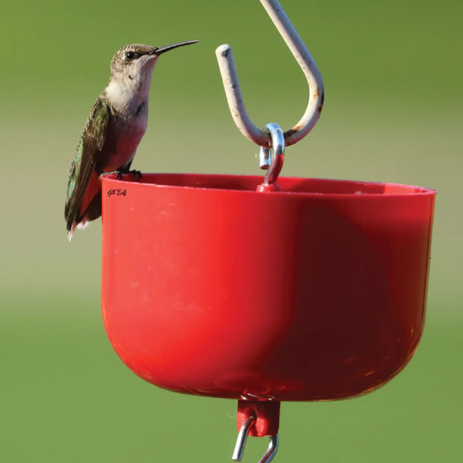 HUMMINGBIRD ACCESSORIES