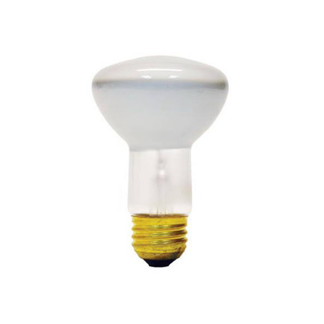 OUTDOOR LIGHT BULBS