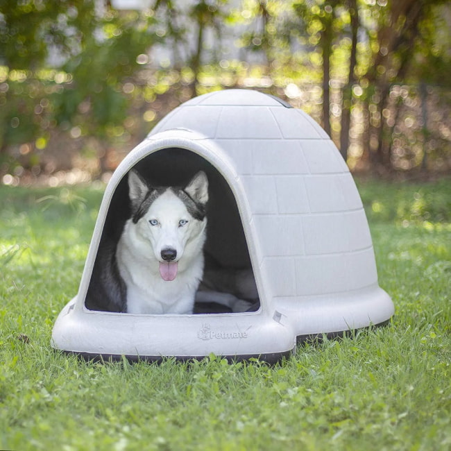 DOG HOUSES