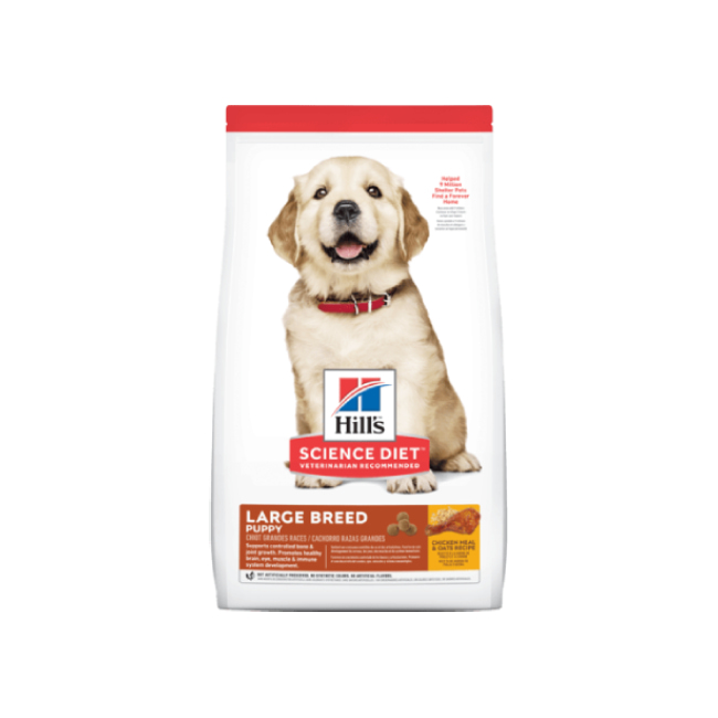 DRY DOG FOOD