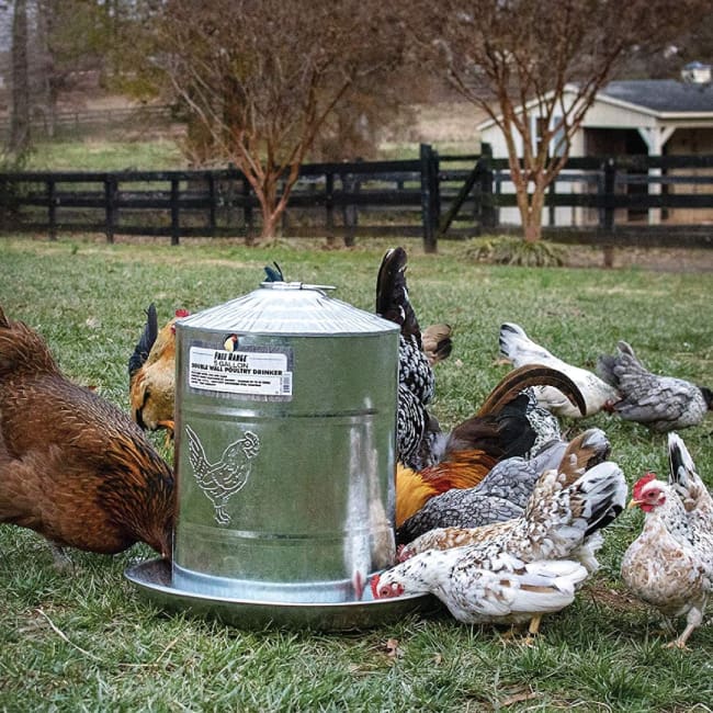 POULTRY FEEDERS &amp; WATERERS