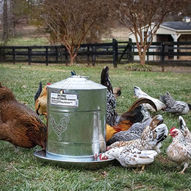 FEEDING &amp; WATERING EQUIPMENT