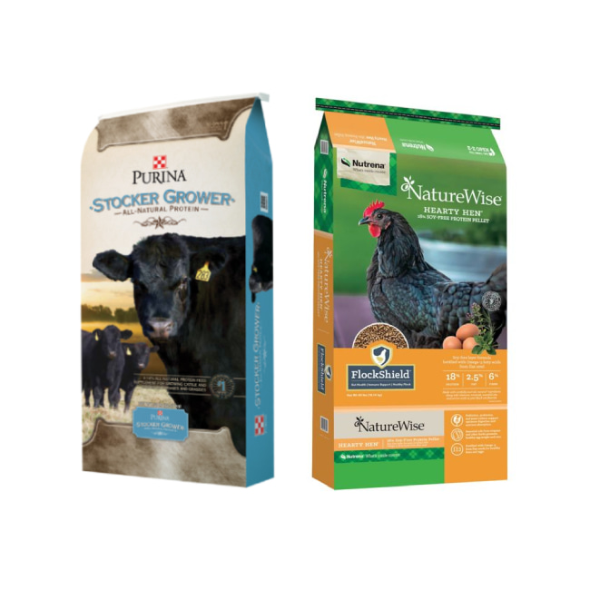 LIVESTOCK FEED