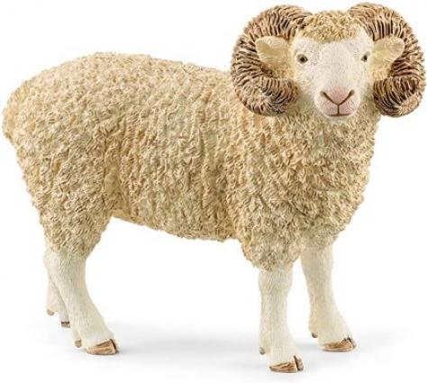 RAM