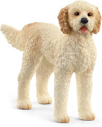 GOLDENDOODLE