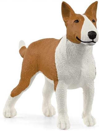 BULL TERRIER