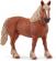 BELGIAN DRAFT HORSE