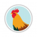 CHICKEN STICKER