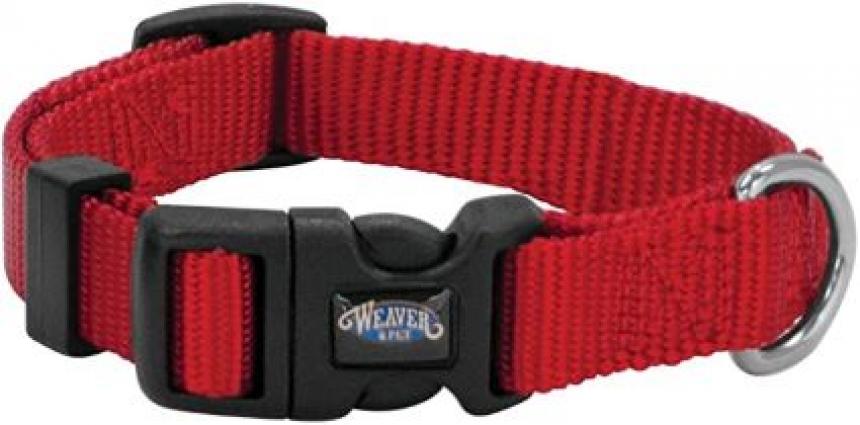 LRG SNAP-N-GO COLLAR CRIMSON