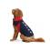 TEAM SOFTSHELL DOG JACKET NAVY