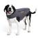 REBAR DURACANVAS DOG JACKET GRAY