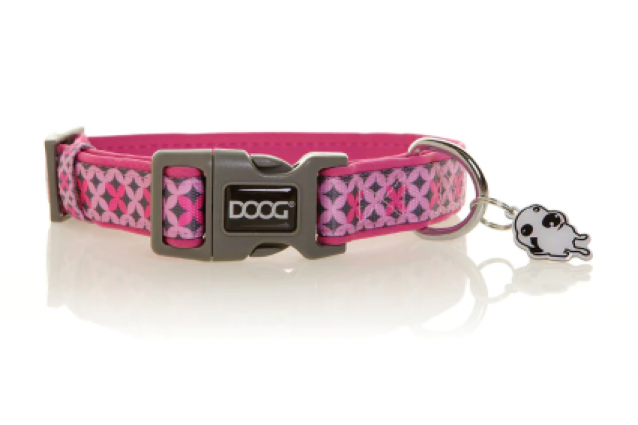 DOOG COLLAR TOTO SMALL