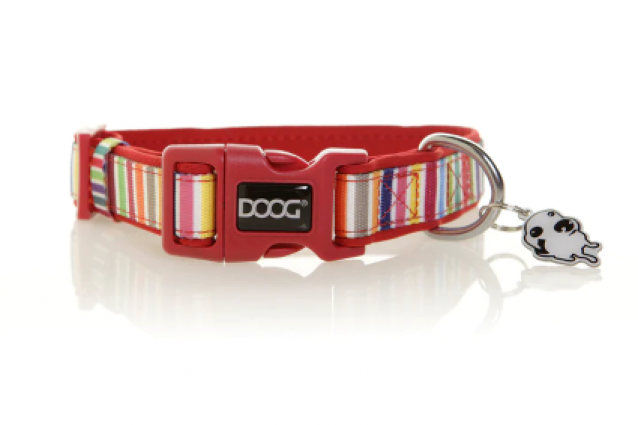 DOOG COLLAR SCOOBY SMALL