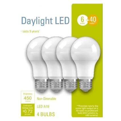 4PK 6W DAY A19 BULB