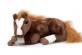 SORREL COLT 18" LYING