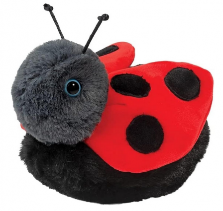 BERT LADYBUG