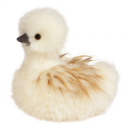 TARA SILKIE CHICK, LARGE