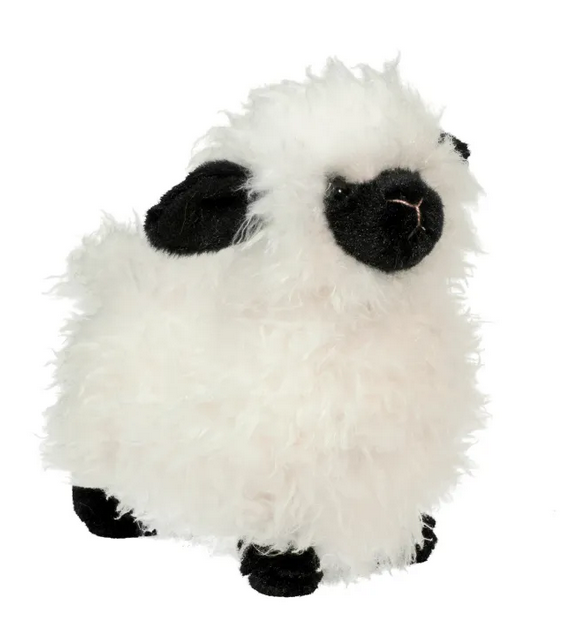 SHILOH SHEEP