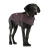 CARHARTT DOG CHORE COAT WINE SM