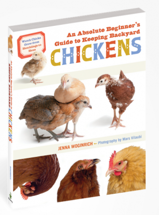 BEGINNERS GUIDE TO KEEP CHICKENS