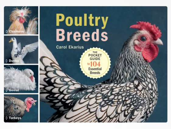 POCKETFUL OF POULTRY BOOK