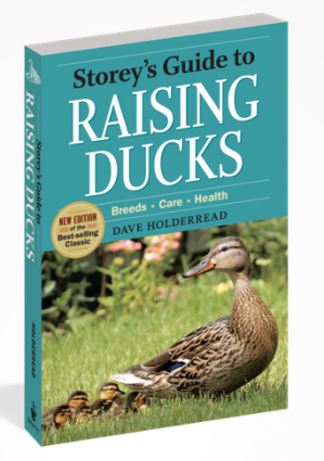 STOREY'S GUIDE TO RAISING DUCKS