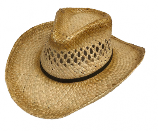 KIDS STND PAPER WESTERN HAT