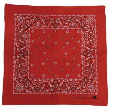 RED PAISLEY BANDANA