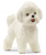 BICHON FRISE