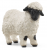 VALAIS BLACKNOSE SHEEP