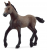 PERUVIAN PASO FOAL