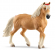 HAFLINGER MARE