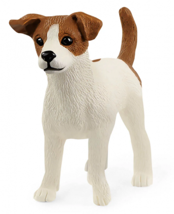 JACK RUSSELL TERRIER