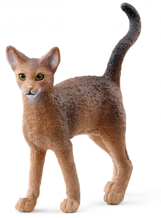 ABYSSINIAN CAT