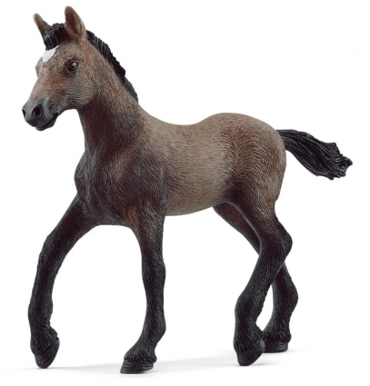 PERUVIAN PASO FOAL