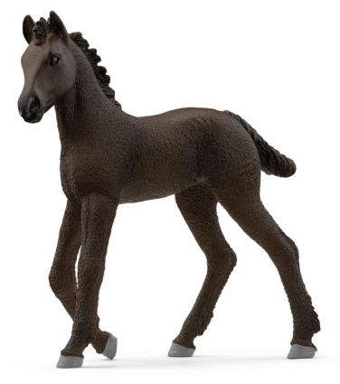 FRIESIAN FOAL