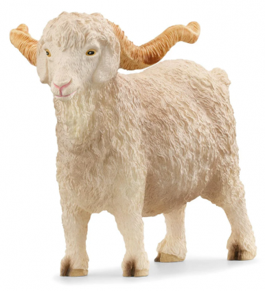 ANGORA GOAT